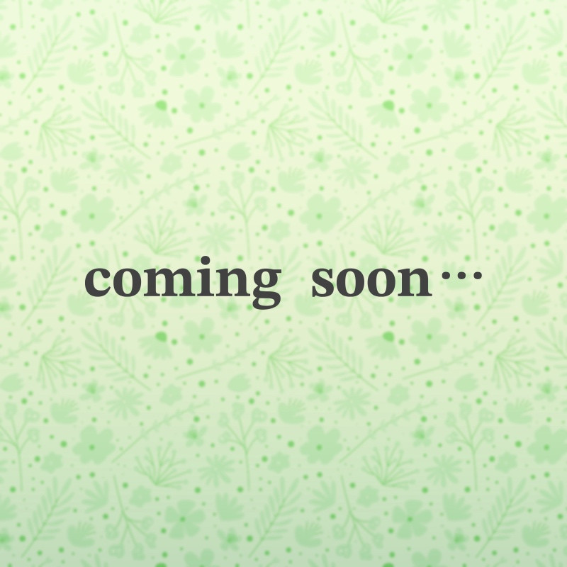 【予告】第12号ファンド、近日公開予定